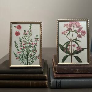 Small Gold Ornate Picture Frame Flowers Black White Vintage Moody Home Decor Set